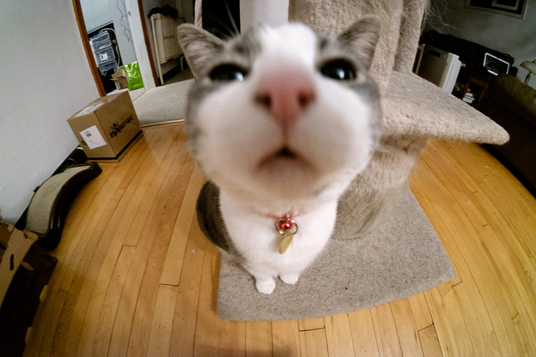 You are currently viewing Test
